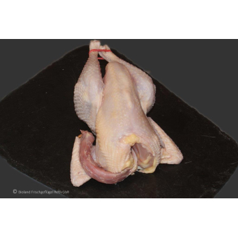 Suppenhuhn frisch - regional