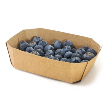 Heidelbeeren 250g - ab 9.07. lieferbar