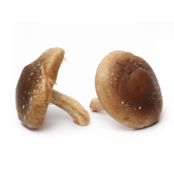 Shiitake