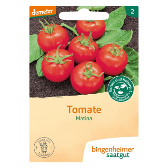 Tomate Matina