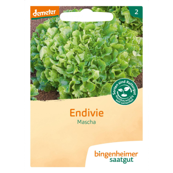 Endivie Diva