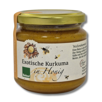 Kurkuma in Honig - Weltenbummler